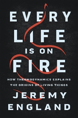 Every Life Is On Fire - Jeremy England