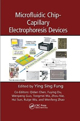 Microfluidic Chip-Capillary Electrophoresis Devices - 