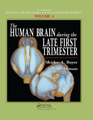 The Human Brain During the Late First Trimester - Shirley A. Bayer, Joseph Altman