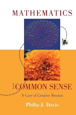 Mathematics & Common Sense - Philip J. Davis