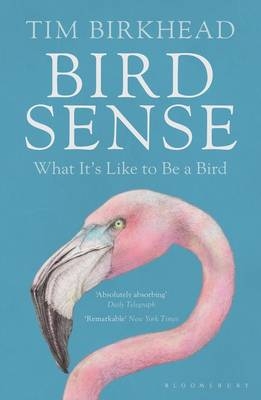 Bird Sense -  Tim Birkhead