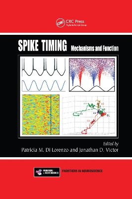 Spike Timing - 