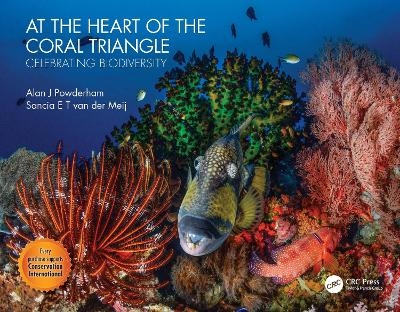 At the Heart of the Coral Triangle - Alan J Powderham, Sancia van der Meij