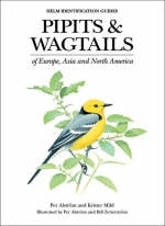 Pipits and Wagtails of Europe, Asia and North America -  Krister Mild,  Per Alstr m