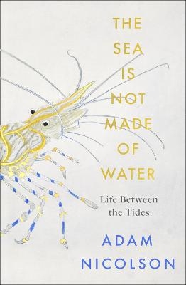 The Sea is Not Made of Water - Adam Nicolson