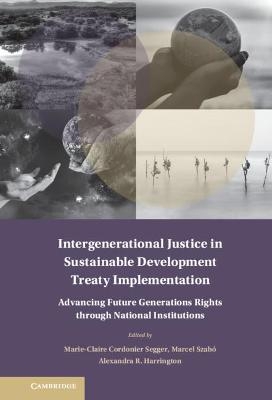 Intergenerational Justice in Sustainable Development Treaty Implementation - 