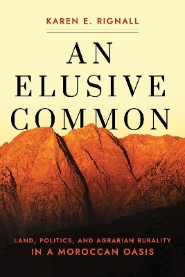 An Elusive Common - Karen E. Rignall