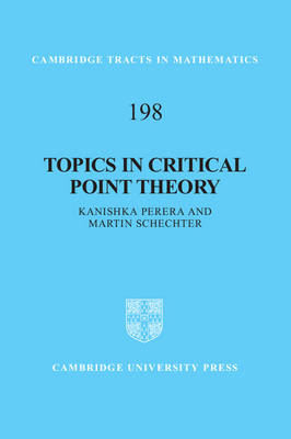 Topics in Critical Point Theory -  Kanishka Perera,  Martin Schechter