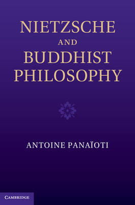 Nietzsche and Buddhist Philosophy -  Antoine Panaioti