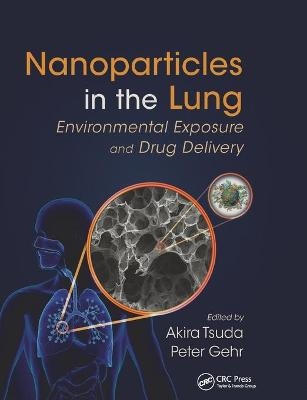 Nanoparticles in the Lung - 