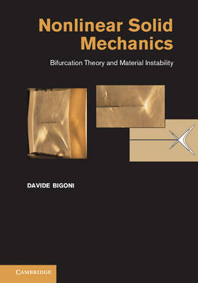 Nonlinear Solid Mechanics -  Davide Bigoni