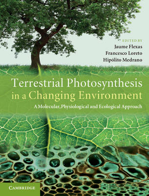 Terrestrial Photosynthesis in a Changing Environment - 