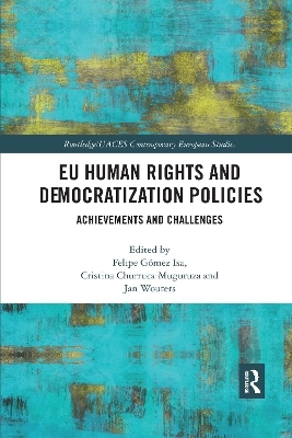 EU Human Rights and Democratization Policies - 