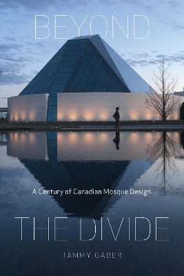 Beyond the Divide - Tammy Gaber