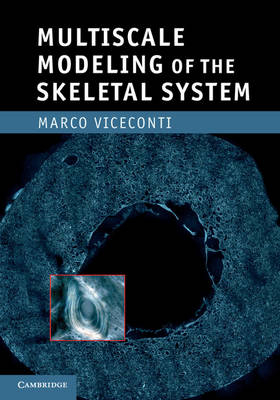 Multiscale Modeling of the Skeletal System -  Marco Viceconti