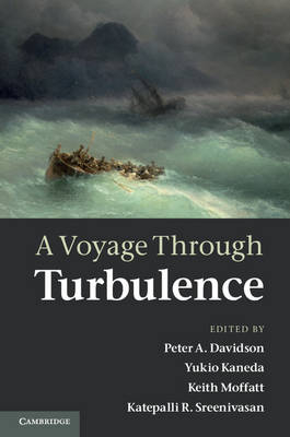 Voyage Through Turbulence - 