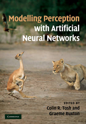 Modelling Perception with Artificial Neural Networks - 