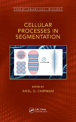 Cellular Processes in Segmentation - 