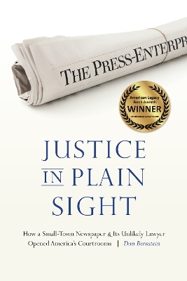 Justice in Plain Sight - Dan Bernstein