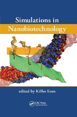 Simulations in Nanobiotechnology - 