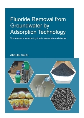 Fluoride Removal from Groundwater by Adsorption Technology - Abdulai Salifu