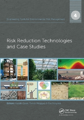 Engineering Tools for Environmental Risk Management - 