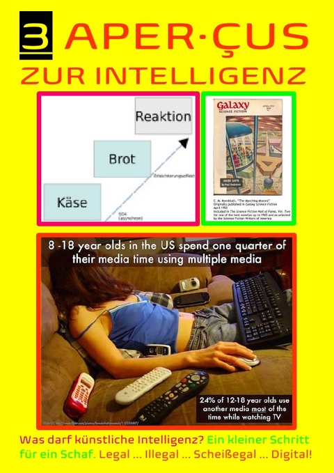 3 APER·ÇUS ZUR INTELLIGENZ (Was darf künstliche Intelligenz? - Concept Public Files, Beat Shucker, Christine Schast