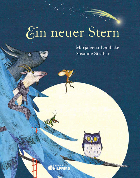 Ein neuer Stern - Marjaleena Lembcke