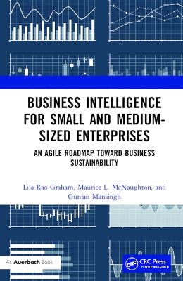 Business Intelligence for Small and Medium-Sized Enterprises - Lila Rao-Graham, Maurice L. McNaughton, Gunjan Mansingh