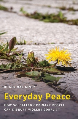 Everyday Peace - Roger Mac Ginty