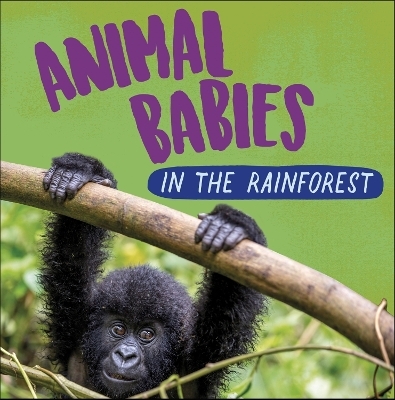 Animal Babies: In the Rainforest - Sarah Ridley