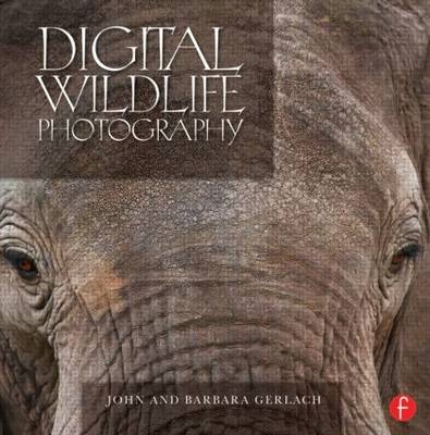 Digital Wildlife Photography -  John and Barbara Gerlach