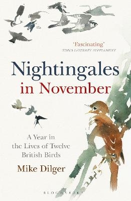 Nightingales in November - Mike Dilger