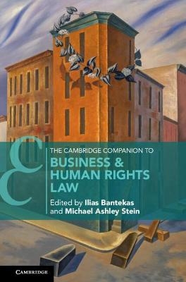 The Cambridge Companion to Business and Human Rights Law - 