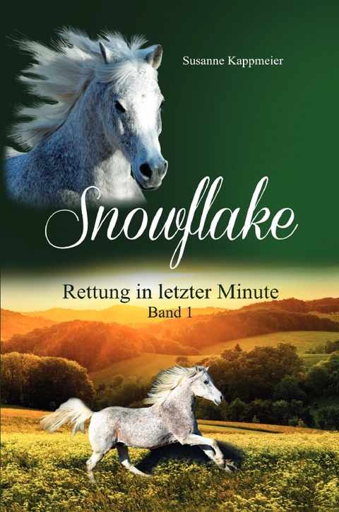 Snowflake / Snowflake: Rettung in letzter Minute - Susanne Kappmeier