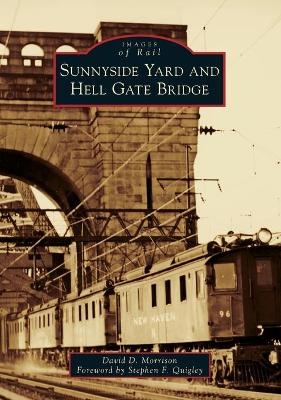 Sunnyside Yard and Hell Gate Bridge - David D. Morrison