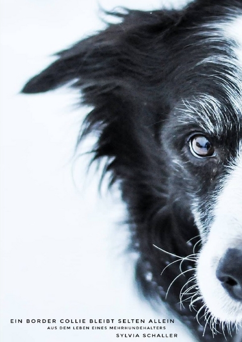 Ein Border Collie kommt selten allein - Sylvia Schaller