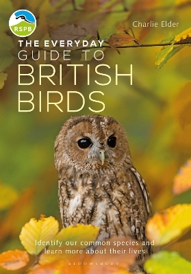 The Everyday Guide to British Birds - Charlie Elder