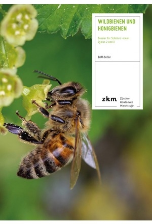 Wildbienen und Honigbienen - Edith Sutter