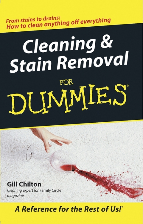 Cleaning and Stain Removal for Dummies -  Gill Chilton