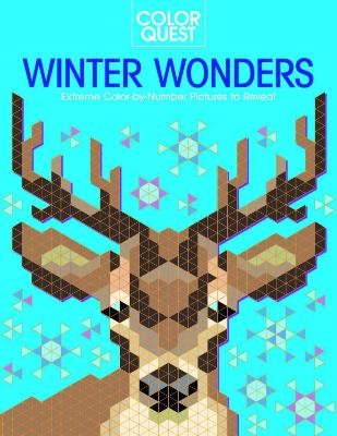 Color Quest: Winter Wonders - Daniela Geremia