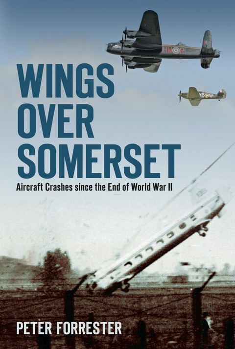 Wings Over Somerset - Peter Forrester