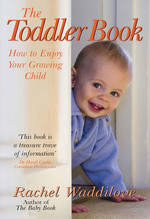 Toddler Book -  Rachel Waddilove