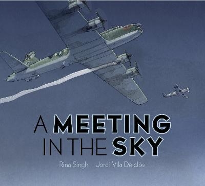 A Meeting in the Sky - Rina Singh