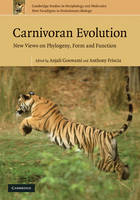 Carnivoran Evolution - 