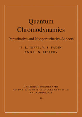 Quantum Chromodynamics -  V. S. Fadin,  B. L. Ioffe,  L. N. Lipatov