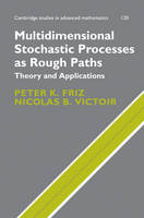 Multidimensional Stochastic Processes as Rough Paths -  Peter K. Friz,  Nicolas B. Victoir