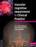 Vascular Cognitive Impairment in Clinical Practice - 