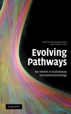 Evolving Pathways -  Giuseppe Fusco