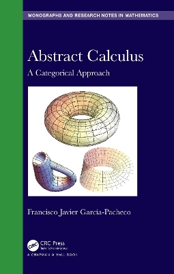 Abstract Calculus - Francisco Javier Garcia-Pacheco